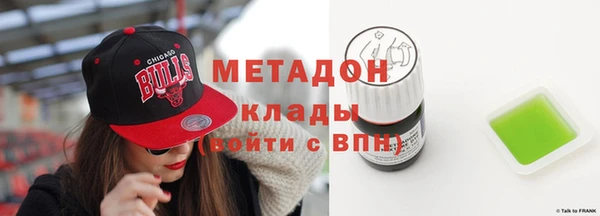 индика Алексин