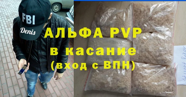 индика Алексин