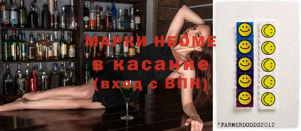 индика Алексин